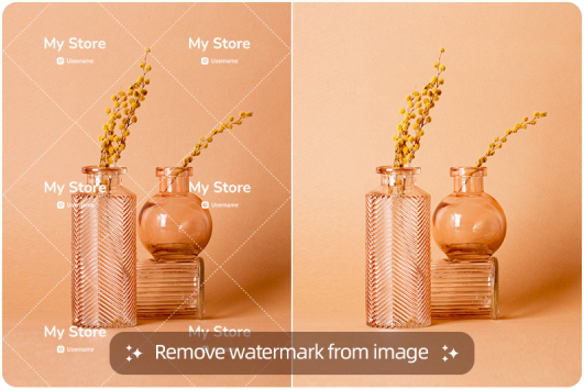 Remove watermark with prompts