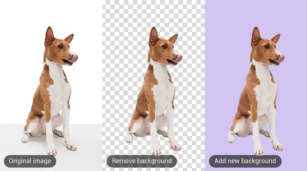 Turn an animal photo into a sketch