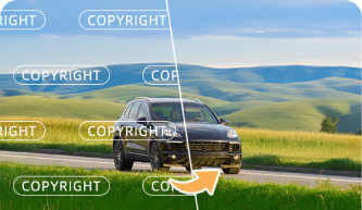 Remove Copyright Stamp