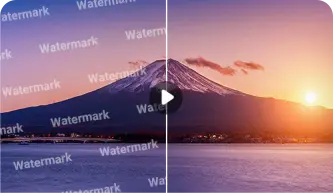 用于视频素材的视频文字消除器